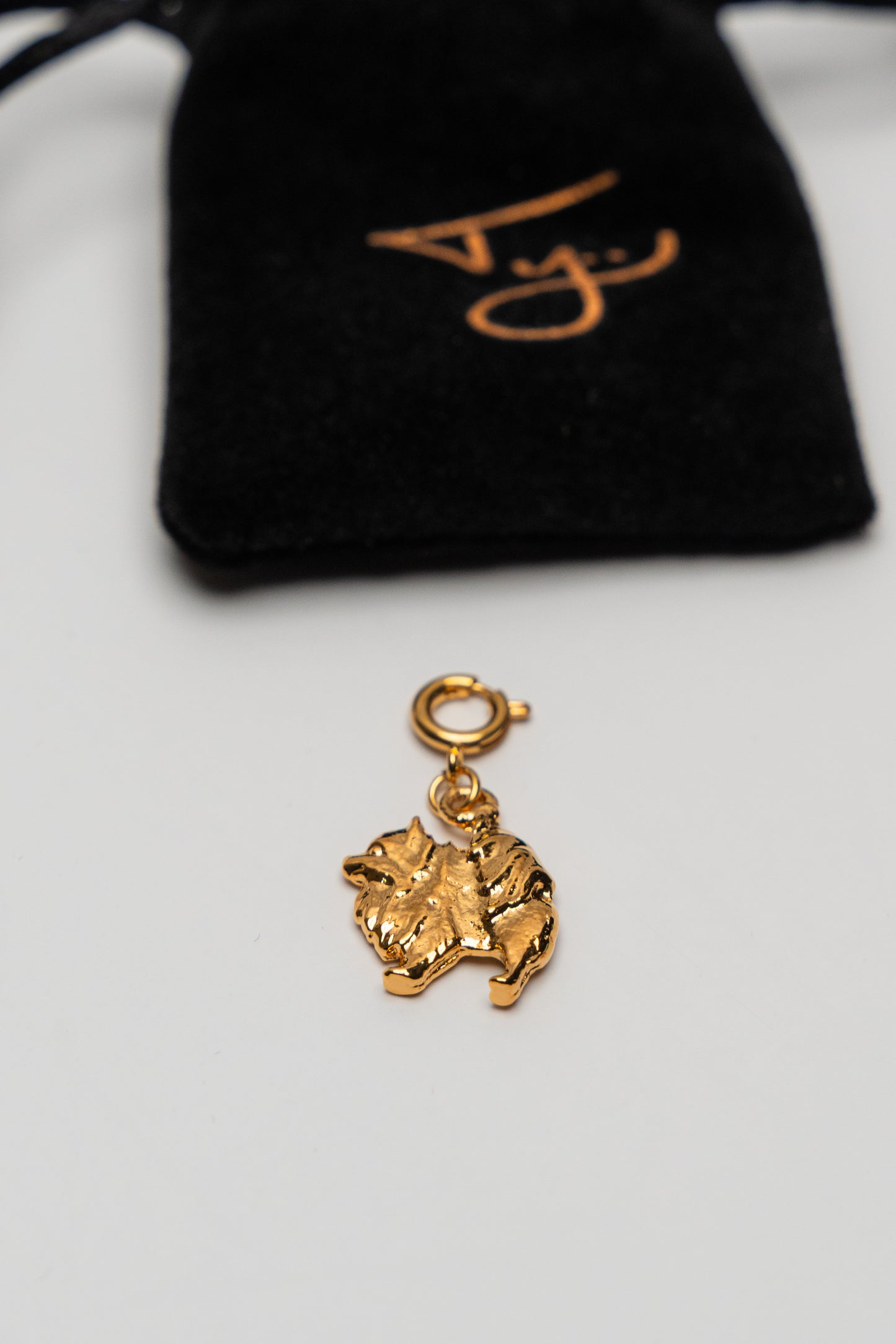 *🐺 IN STOCK 🐾* - Fur Baby Charm - Gold