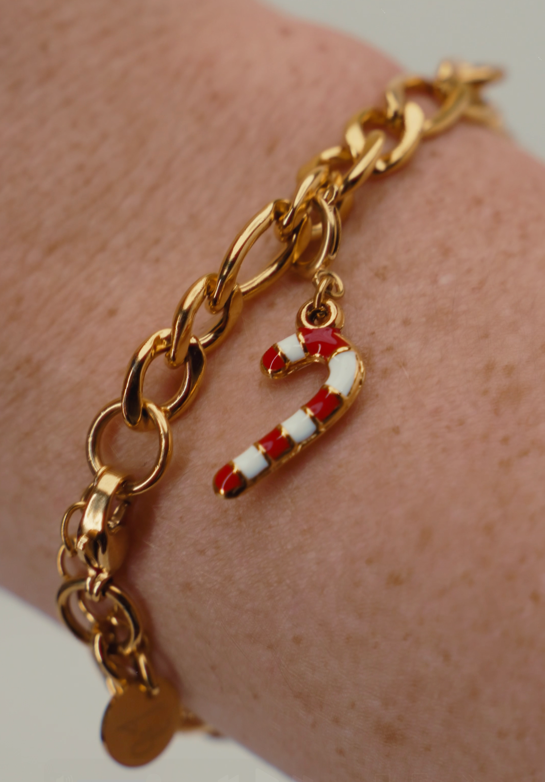* π« In Stock ππΎπ* Combo Hynies Bracelet + Magnetic Heart "Connections" Charm + "Fur Baby" Charm + Candy Cane "Holiday" Charm