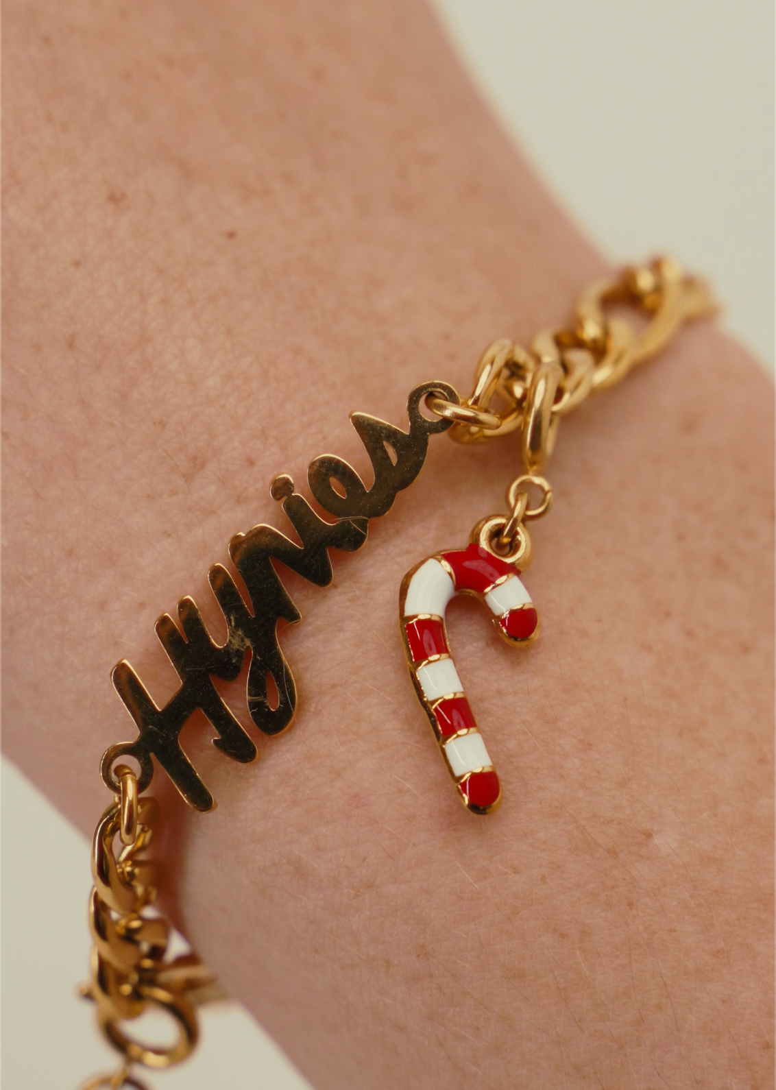 * π« In Stock ππΎπ* Combo Hynies Bracelet + Magnetic Heart "Connections" Charm + "Fur Baby" Charm + Candy Cane "Holiday" Charm